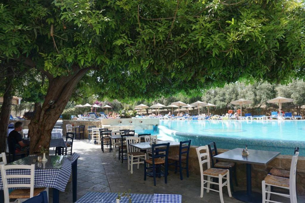 Alex'S Vacation Suite - 100M From The Beach - 6 Guests Paphos Bagian luar foto